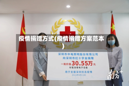 疫情捐赠方式(疫情捐赠方案范本)-第3张图片