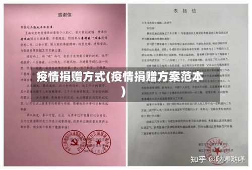 疫情捐赠方式(疫情捐赠方案范本)-第2张图片