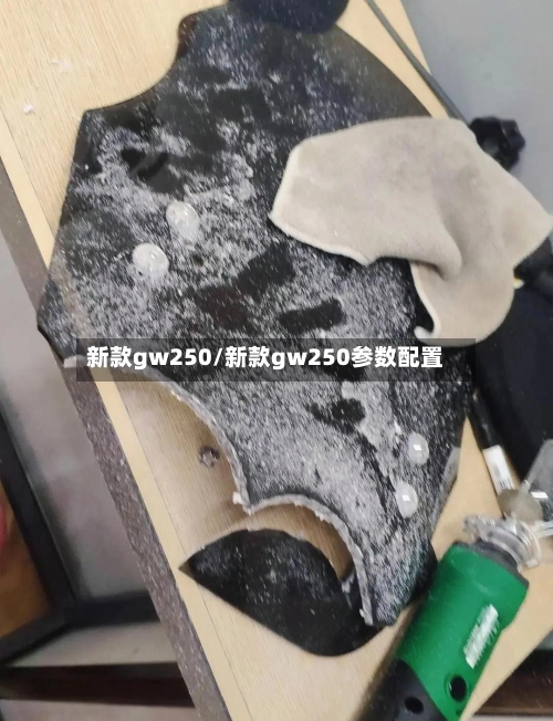 新款gw250/新款gw250参数配置-第2张图片