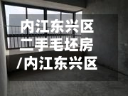 内江东兴区二手毛坯房/内江东兴区新房出售价