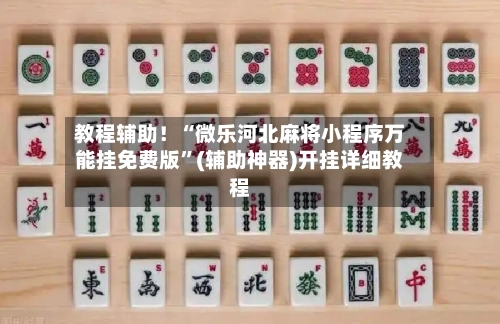 教程辅助！“微乐河北麻将小程序万能挂免费版	”(辅助神器)开挂详细教程-第2张图片