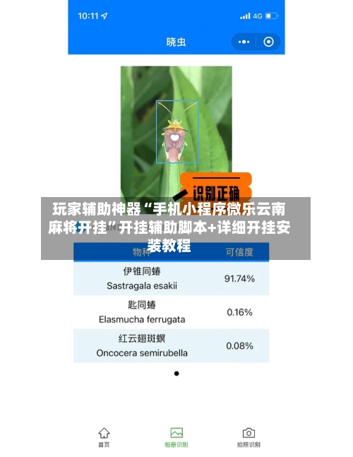 玩家辅助神器“手机小程序微乐云南麻将开挂”开挂辅助脚本+详细开挂安装教程