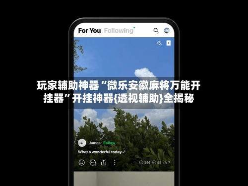 玩家辅助神器“微乐安徽麻将万能开挂器”开挂神器{透视辅助}全揭秘-第2张图片