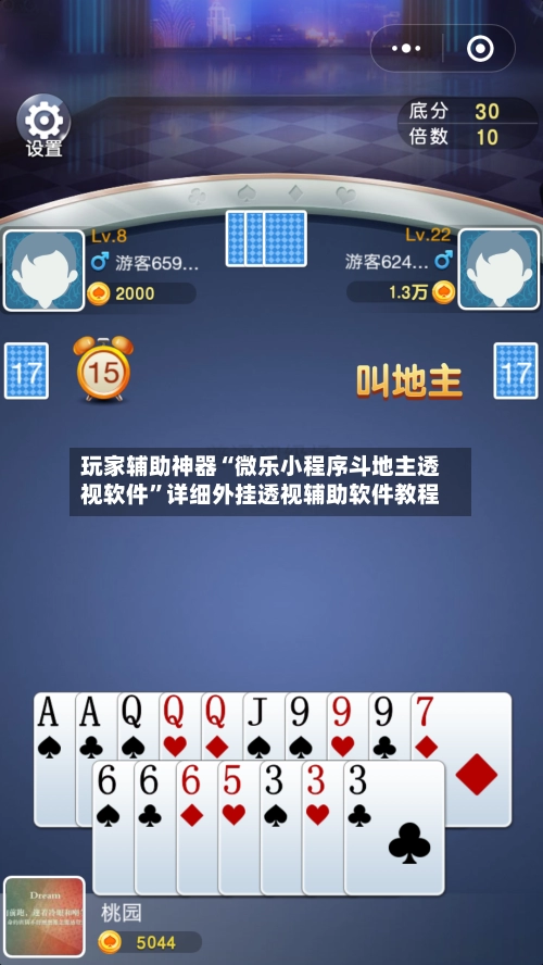 玩家辅助神器“微乐小程序斗地主透视软件”详细外挂透视辅助软件教程-第2张图片