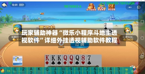 玩家辅助神器“微乐小程序斗地主透视软件”详细外挂透视辅助软件教程-第3张图片