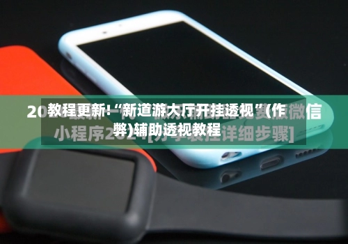 教程更新!“新道游大厅开挂透视	”(作弊)辅助透视教程-第2张图片