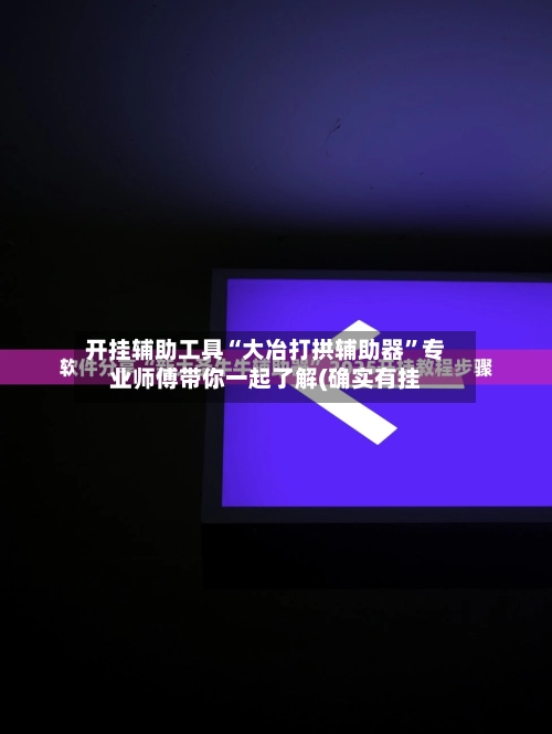 开挂辅助工具“大冶打拱辅助器”专业师傅带你一起了解(确实有挂-第2张图片