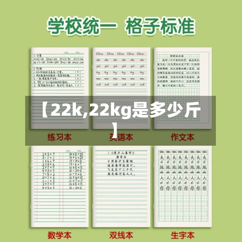 【22k,22kg是多少斤】-第2张图片