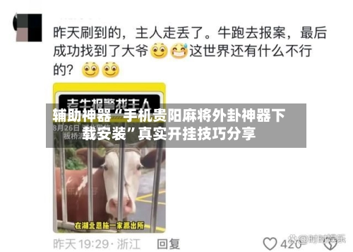 辅助神器“手机贵阳麻将外卦神器下载安装”真实开挂技巧分享-第3张图片