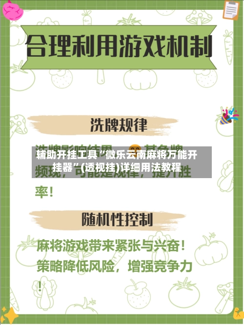 辅助开挂工具“微乐云南麻将万能开挂器”(透视挂)详细用法教程-第2张图片