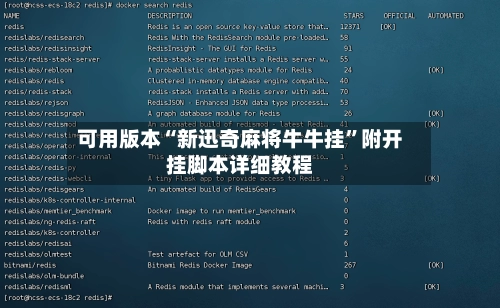 可用版本“新迅奇麻将牛牛挂”附开挂脚本详细教程-第2张图片