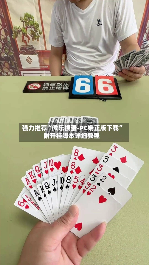 强力推荐“微乐掼蛋-PC端正版下载”附开挂脚本详细教程-第3张图片