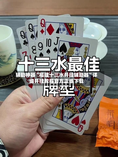 辅助神器“福建十三水开挂辅助器”详细开挂教程官方正版下载