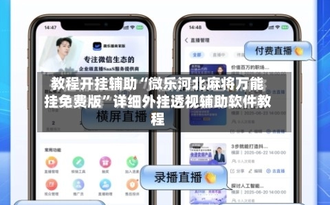 教程开挂辅助“微乐河北麻将万能挂免费版”详细外挂透视辅助软件教程-第2张图片