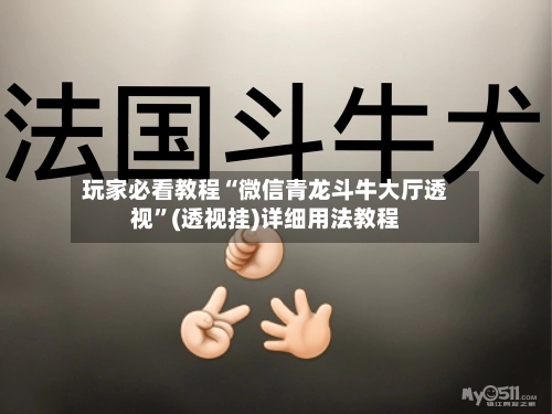 玩家必看教程“微信青龙斗牛大厅透视”(透视挂)详细用法教程-第2张图片