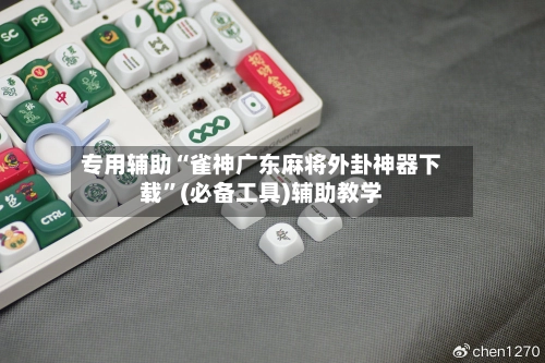 专用辅助“雀神广东麻将外卦神器下载”(必备工具)辅助教学-第2张图片