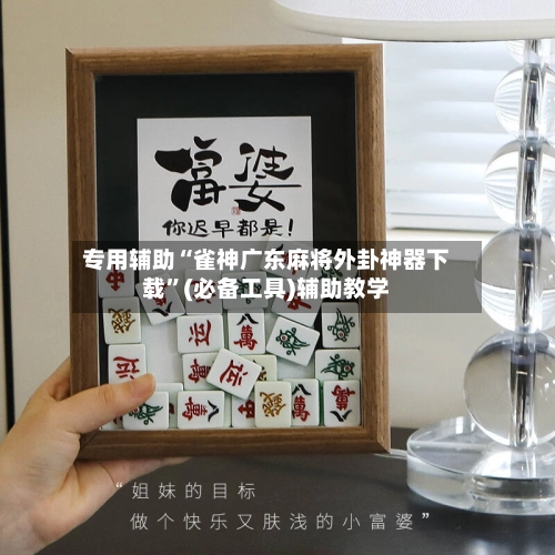 专用辅助“雀神广东麻将外卦神器下载”(必备工具)辅助教学-第3张图片