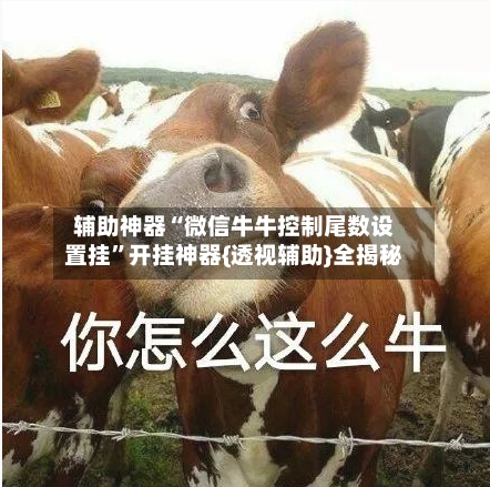 辅助神器“微信牛牛控制尾数设置挂”开挂神器{透视辅助}全揭秘-第2张图片
