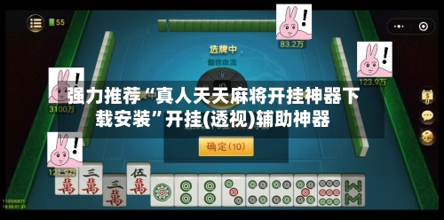 强力推荐“真人天天麻将开挂神器下载安装”开挂(透视)辅助神器-第2张图片