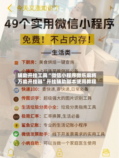 辅助开挂工具“微信小程序微乐麻将万能开挂器	”开挂辅助脚本使用教程-第2张图片