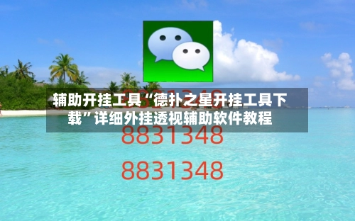 辅助开挂工具“德扑之星开挂工具下载”详细外挂透视辅助软件教程