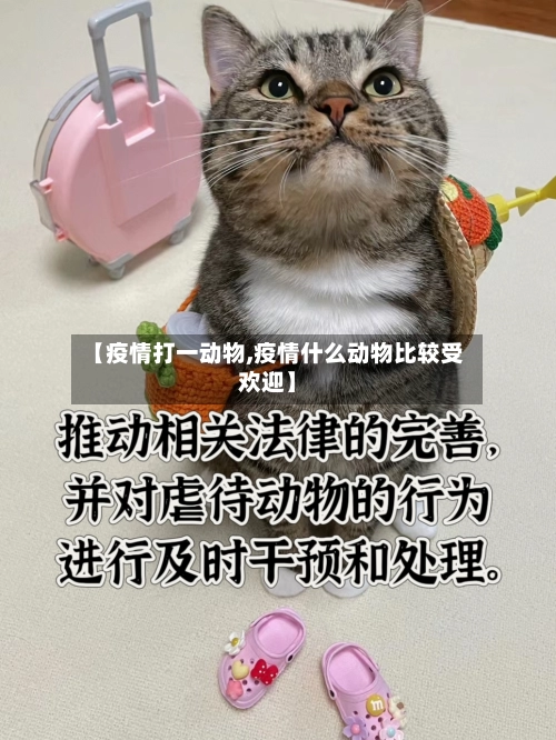 【疫情打一动物,疫情什么动物比较受欢迎】