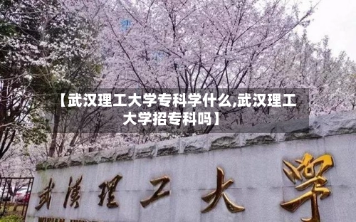 【武汉理工大学专科学什么,武汉理工大学招专科吗】-第3张图片