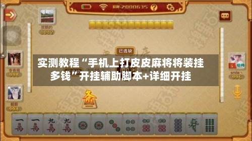 实测教程“手机上打皮皮麻将将装挂多钱”开挂辅助脚本+详细开挂-第2张图片