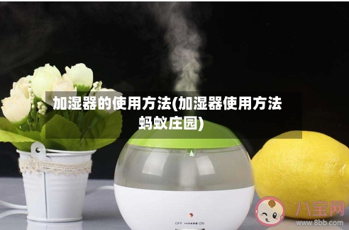 加湿器的使用方法(加湿器使用方法蚂蚁庄园)