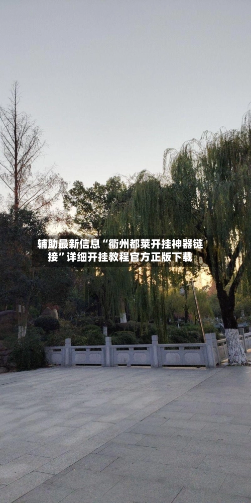 辅助最新信息“衢州都莱开挂神器链接”详细开挂教程官方正版下载-第3张图片