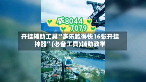 开挂辅助工具“多乐跑得快16张开挂神器	”(必备工具)辅助教学-第2张图片