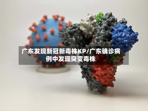 广东发现新冠新毒株KP/广东确诊病例中发现突变毒株-第2张图片