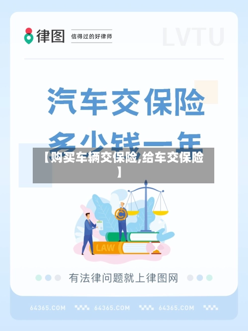 【购买车辆交保险,给车交保险】
