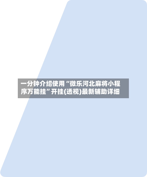 一分钟介绍使用“微乐河北麻将小程序万能挂	”开挂(透视)最新辅助详细-第2张图片