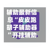 辅助最新信息“皮皮跑胡子辅助器”开挂辅助脚本+详细开挂安装教程