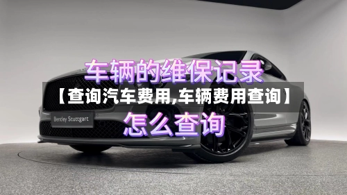 【查询汽车费用,车辆费用查询】-第2张图片