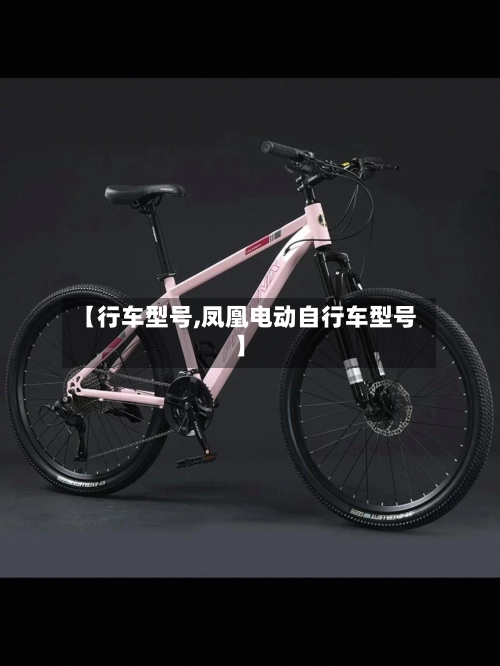 【行车型号,凤凰电动自行车型号】