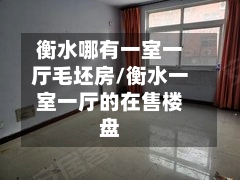 衡水哪有一室一厅毛坯房/衡水一室一厅的在售楼盘