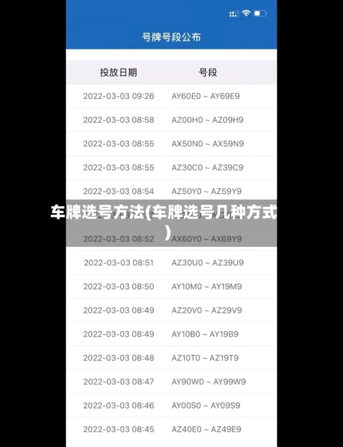 车牌选号方法(车牌选号几种方式)-第3张图片