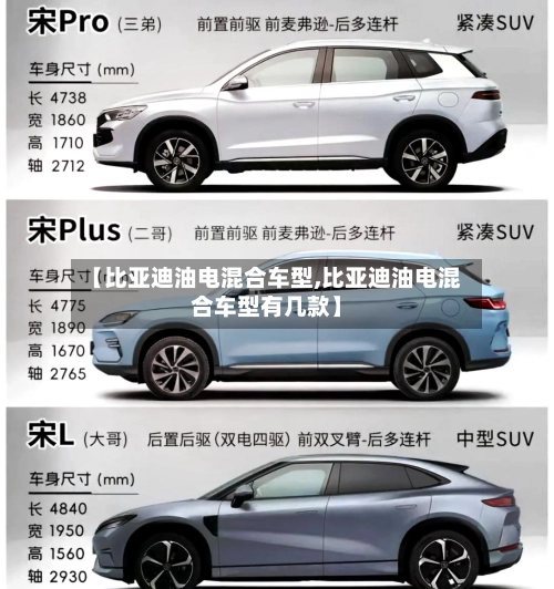【比亚迪油电混合车型,比亚迪油电混合车型有几款】