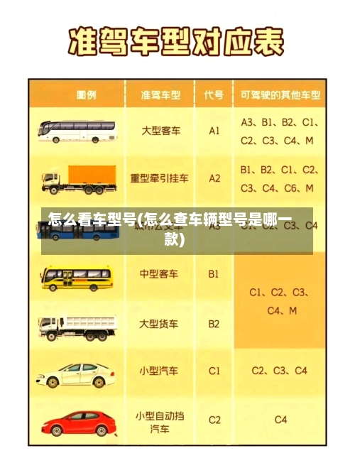 怎么看车型号(怎么查车辆型号是哪一款)-第2张图片