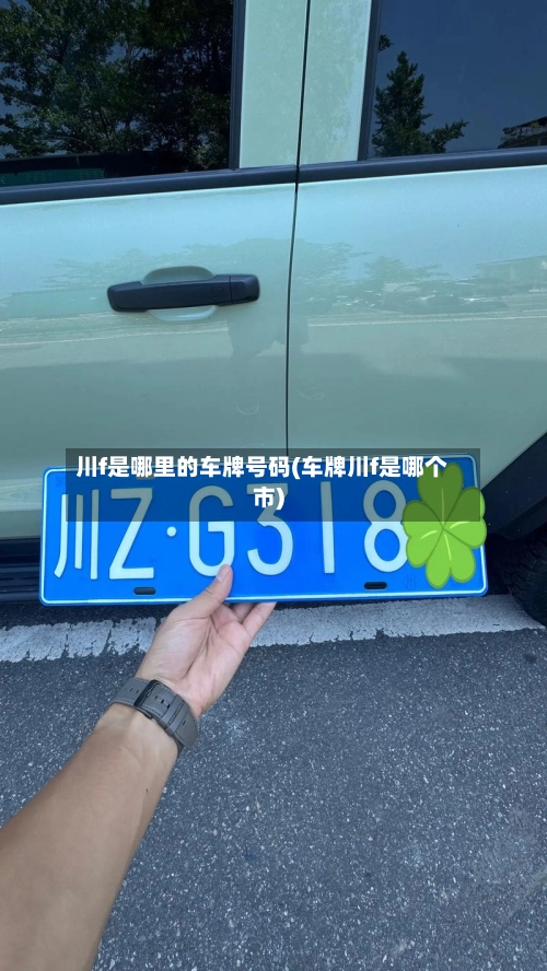 川f是哪里的车牌号码(车牌川f是哪个市)