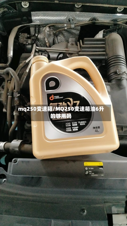 mq250变速箱/MQ250变速箱油6升的够用吗