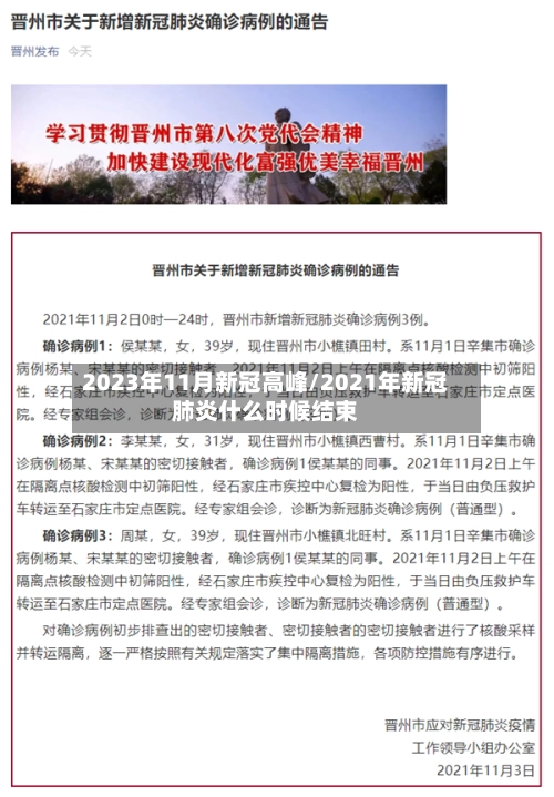 2023年11月新冠高峰/2021年新冠肺炎什么时候结束