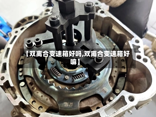 【双离合变速箱好吗,双离合变速箱好嘛】-第2张图片