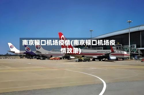 南京禄口机场疫情(南京禄口机场疫情政策)-第2张图片