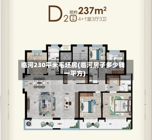 临河230平米毛坯房(临河房子多少钱一平方)