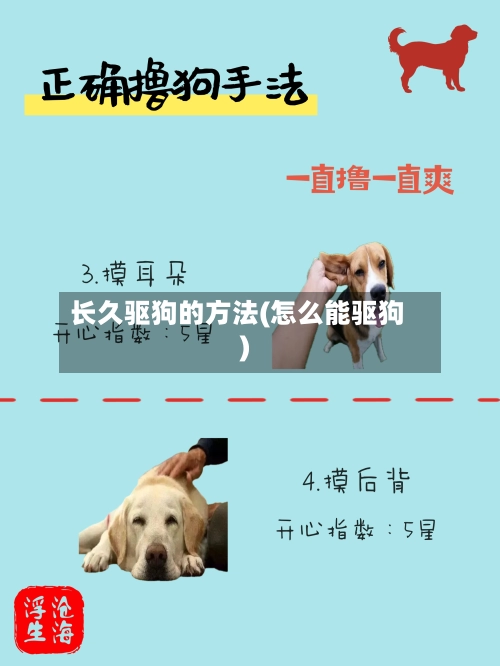 长久驱狗的方法(怎么能驱狗)-第3张图片