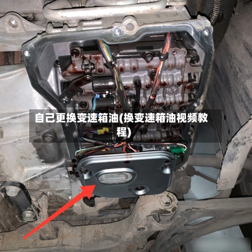 自己更换变速箱油(换变速箱油视频教程)