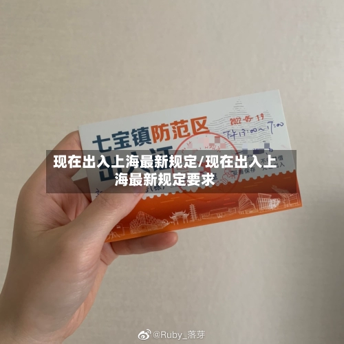 现在出入上海最新规定/现在出入上海最新规定要求-第2张图片